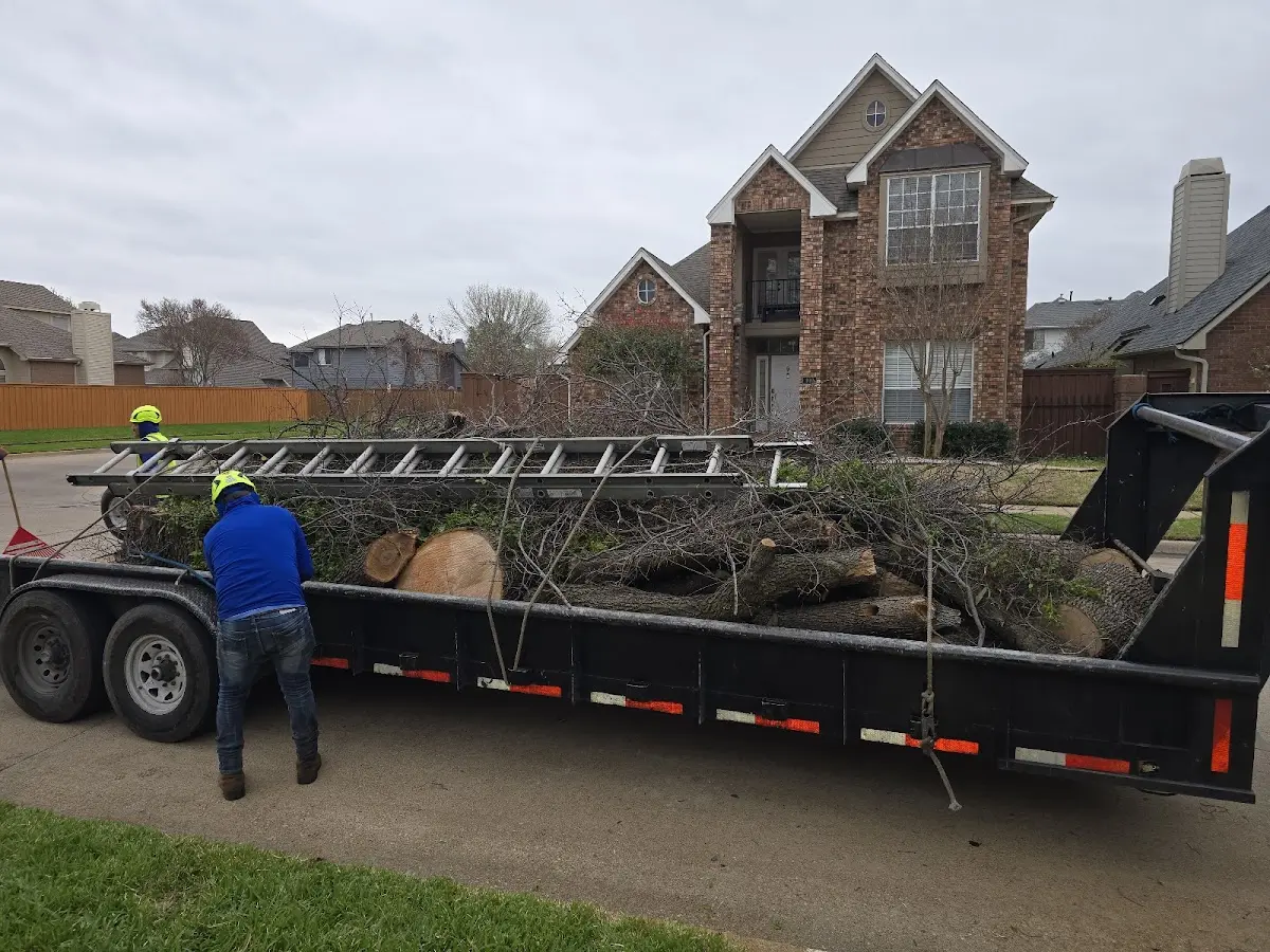 Expert Tree Fertilization with proper safety equipment in Seneca